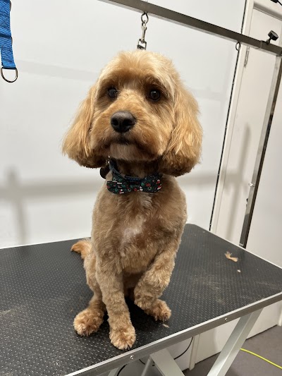 Grooming Van Image