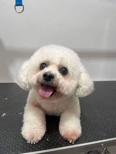 Grooming Van Image