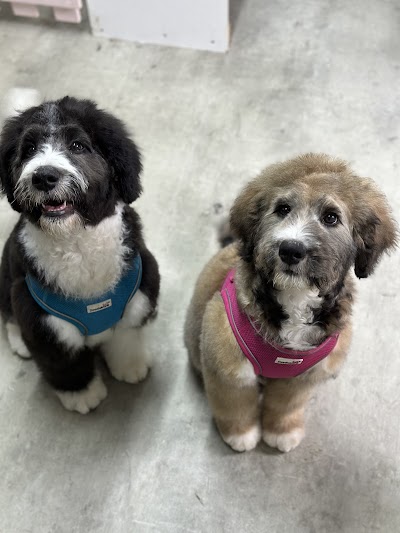 Grooming Van Image