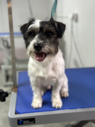 Grooming Van Image