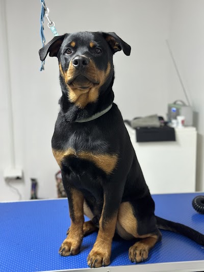 Grooming Van Image