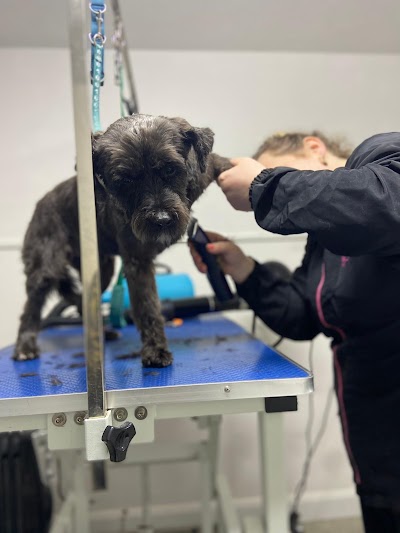 Grooming Van Image