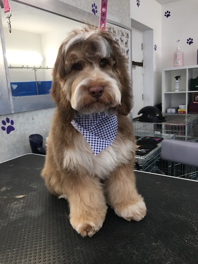 Grooming Van Image