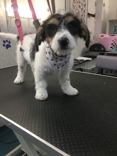 Grooming Van Image