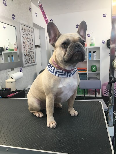 Grooming Van Image