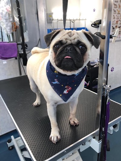 Grooming Van Image