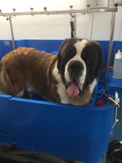 Grooming Van Image