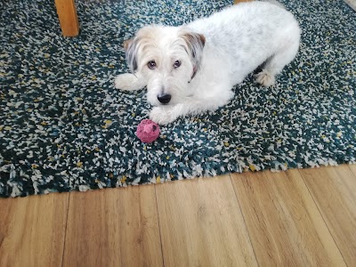Grooming Van Image