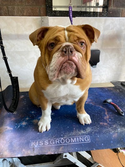 Grooming Van Image