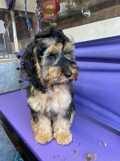 Grooming Van Image