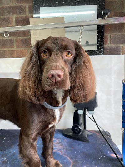 Grooming Van Image