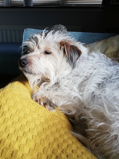 Grooming Van Image