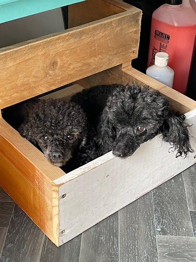 Grooming Van Image