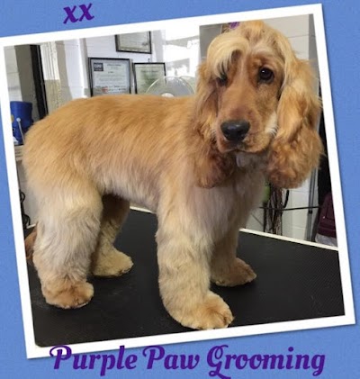 Grooming Van Image