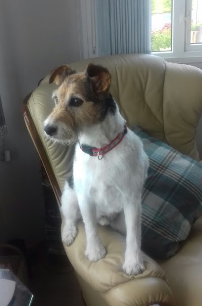 Grooming Van Image