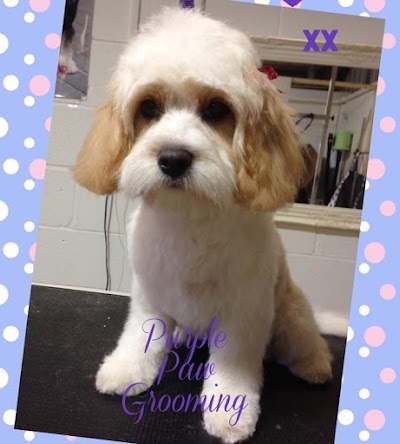 Grooming Van Image