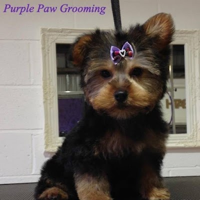 Grooming Van Image