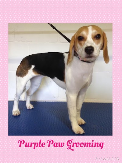 Grooming Van Image