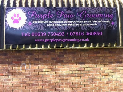 Purple Paw Grooming
