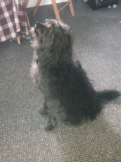 Grooming Van Image