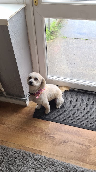 Grooming Van Image
