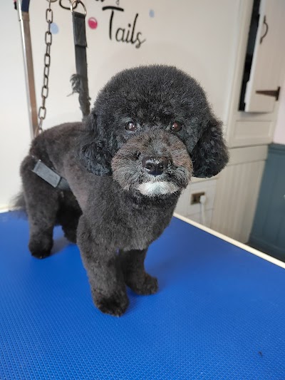 Grooming Van Image