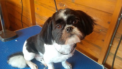 Grooming Van Image