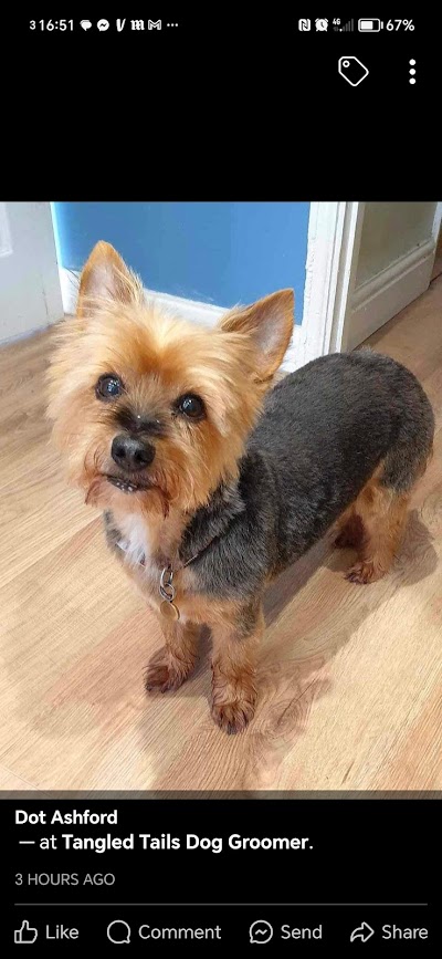 Grooming Van Image