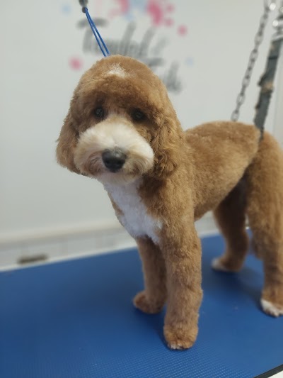 Tangled Tails Dog Groomer