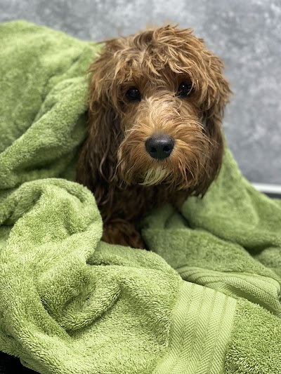 Grooming Van Image