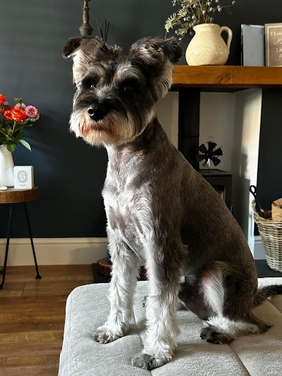 Grooming Van Image