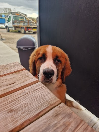 Grooming Van Image