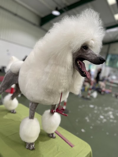Grooming Van Image