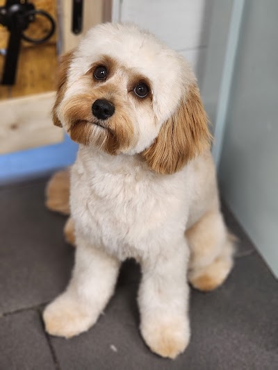 Grooming Van Image