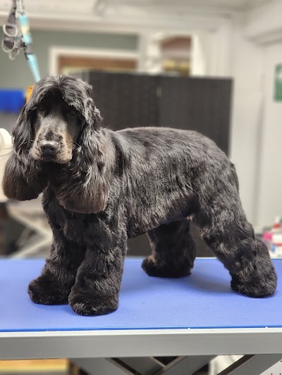 Grooming Van Image