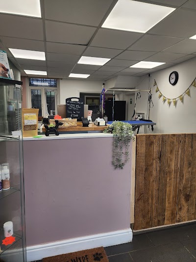 Grooming Van Image