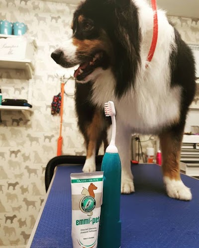 Grooming Van Image