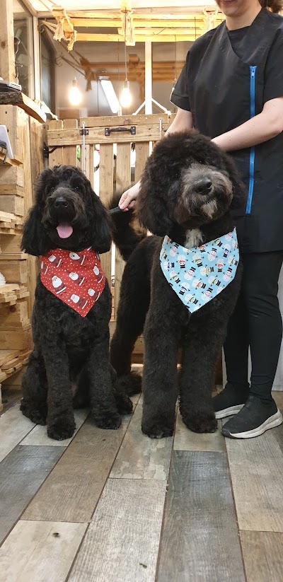 Grooming Van Image