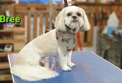Grooming Van Image