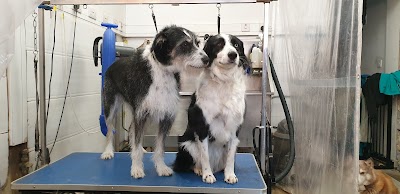 Grooming Van Image
