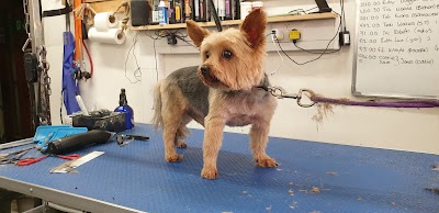 Grooming Van Image