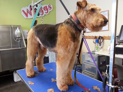 Grooming Van Image