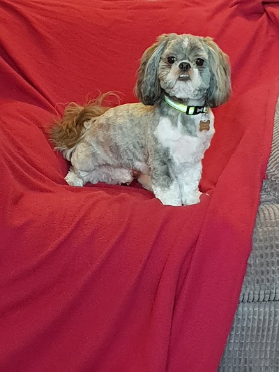 Grooming Van Image
