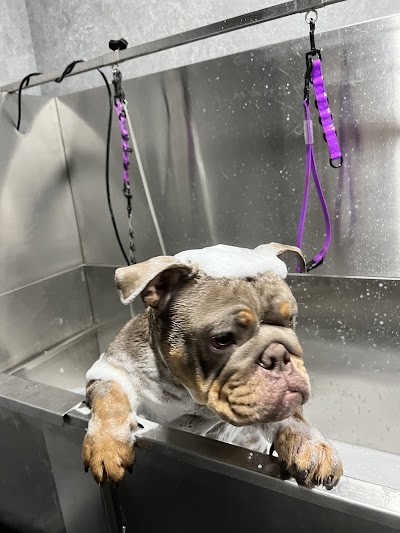 Grooming Van Image