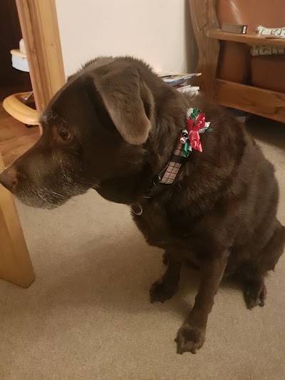 Grooming Van Image