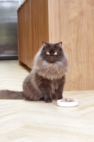 Grooming Van Image