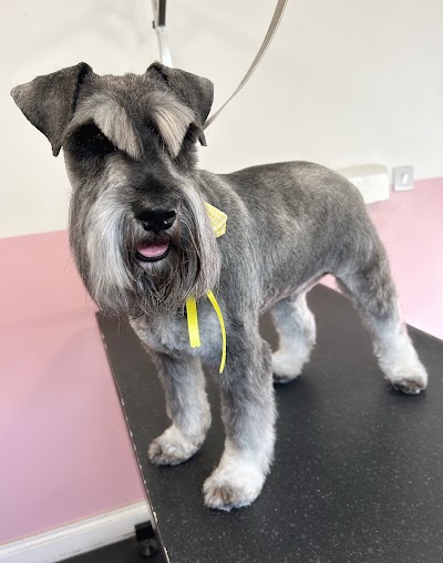 Grooming Van Image