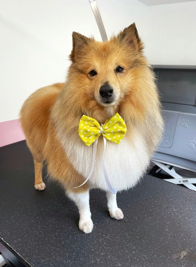 Grooming Van Image