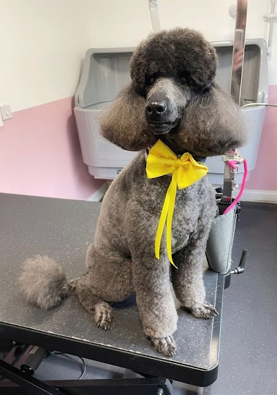 Grooming Van Image