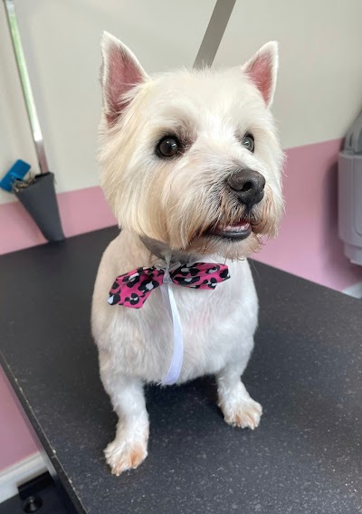Grooming Van Image